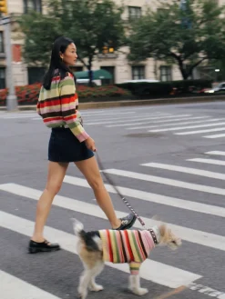 Alaia Polo Sweater - Pink Stripe