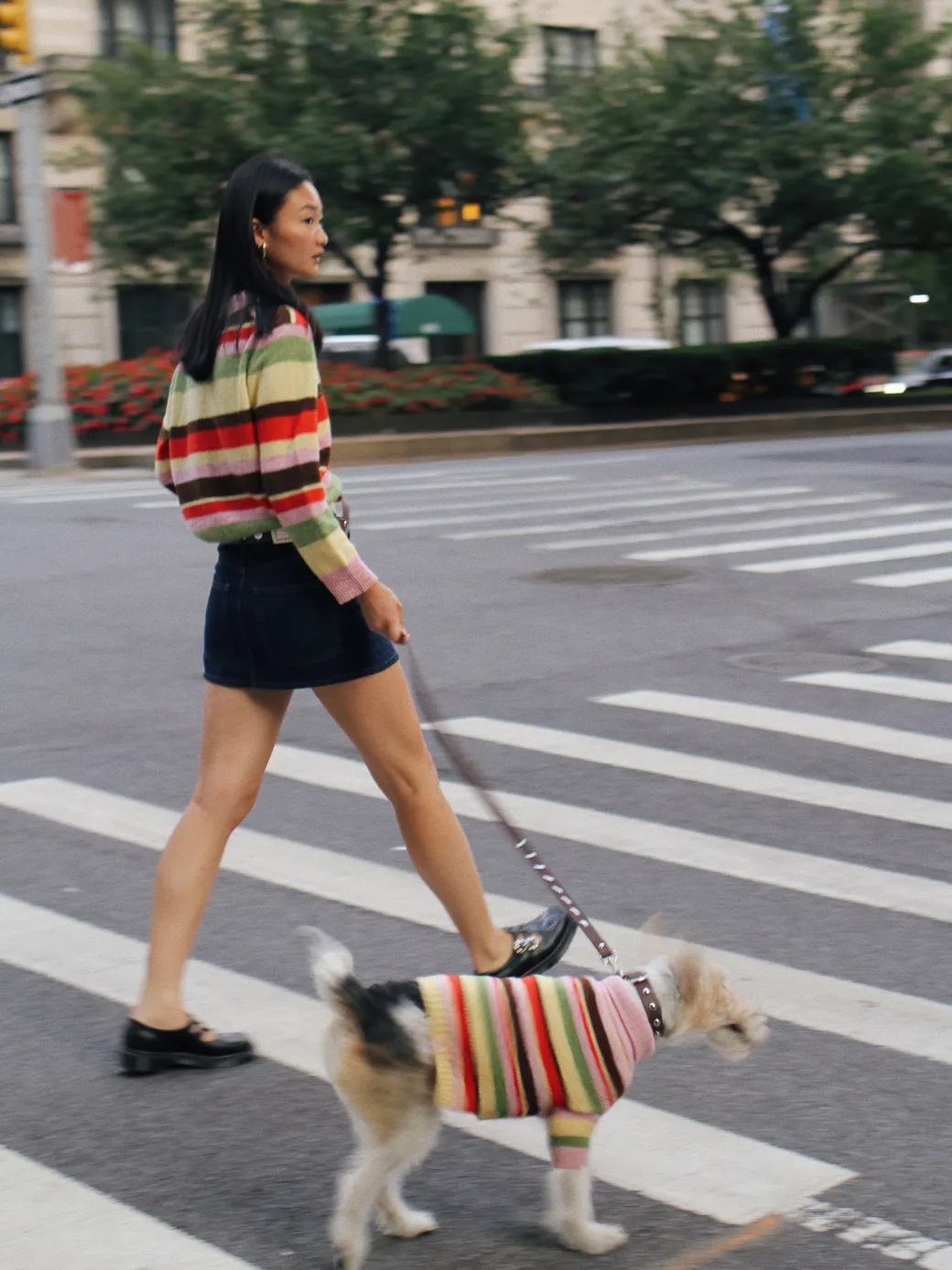 Alaia Polo Sweater - Pink Stripe