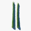Asparagus Candle Tapers - Asparagus