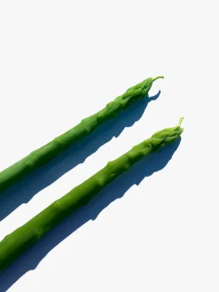 Asparagus Candle Tapers - Asparagus