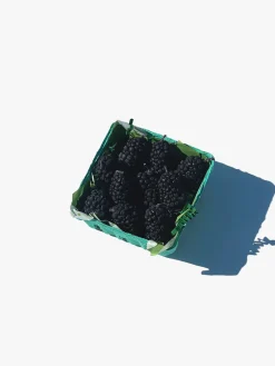 Blackberry Candle Set - Blackberry