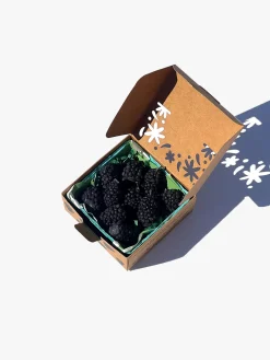Blackberry Candle Set - Blackberry