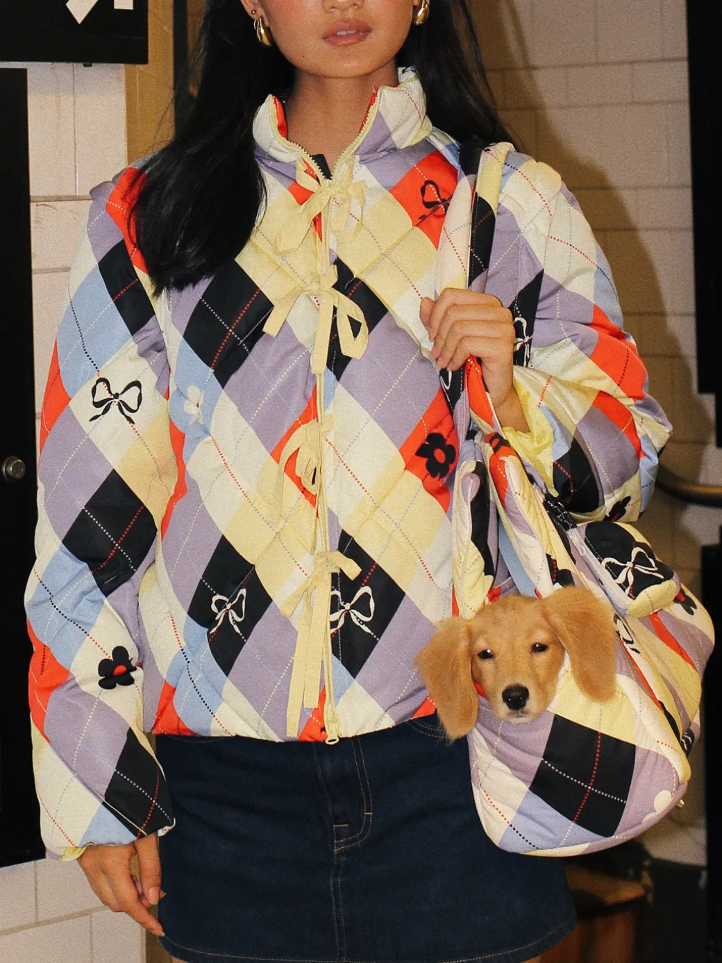 Dog Carrier - Cirque Argyle