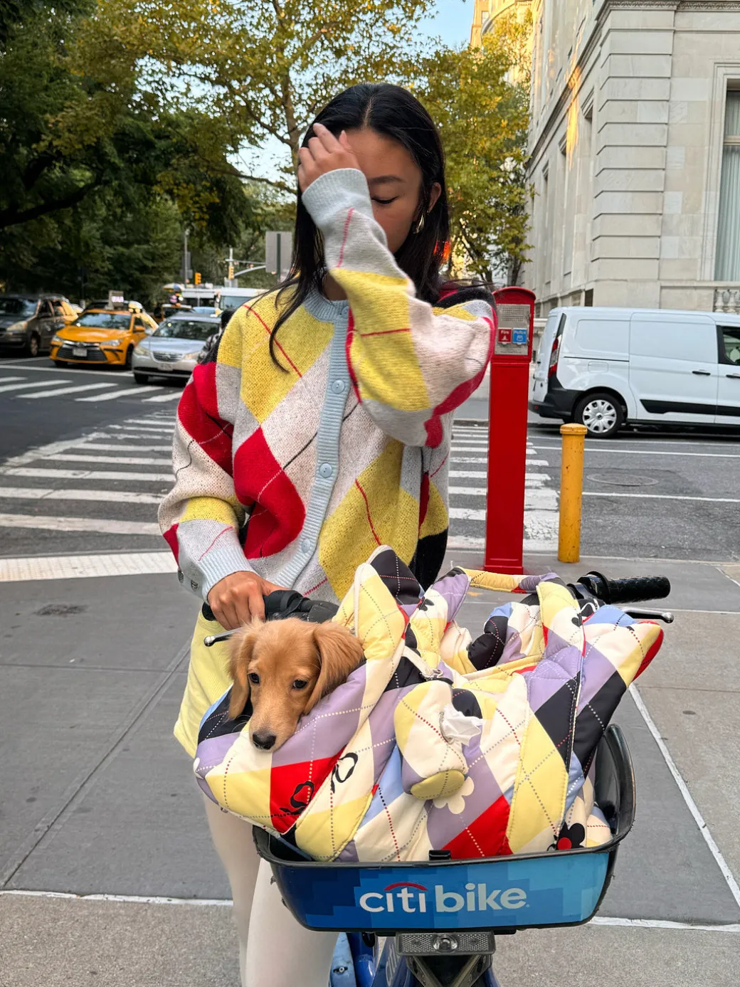 Dog Carrier - Cirque Argyle