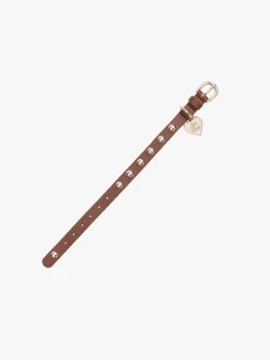 Dog Stud Collar - Brown