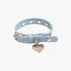 Dog Stud Collar - Powder Blue