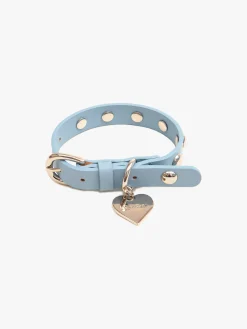 Dog Stud Collar - Powder Blue
