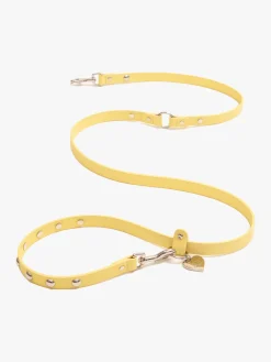 Dog Stud Leash - Butter