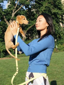 Dog Stud Leash - Butter