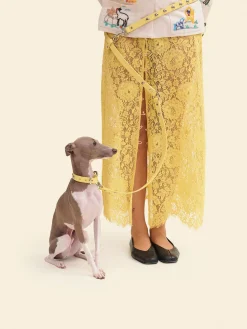 Dog Stud Leash - Butter