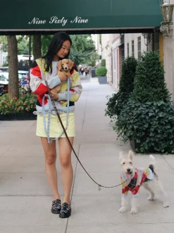 Dog Stud Leash - Powder Blue