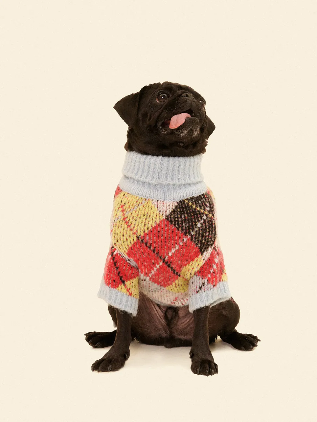 Dog Sweater - Cirque Argyle