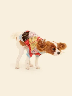 Dog Sweater - Cirque Argyle