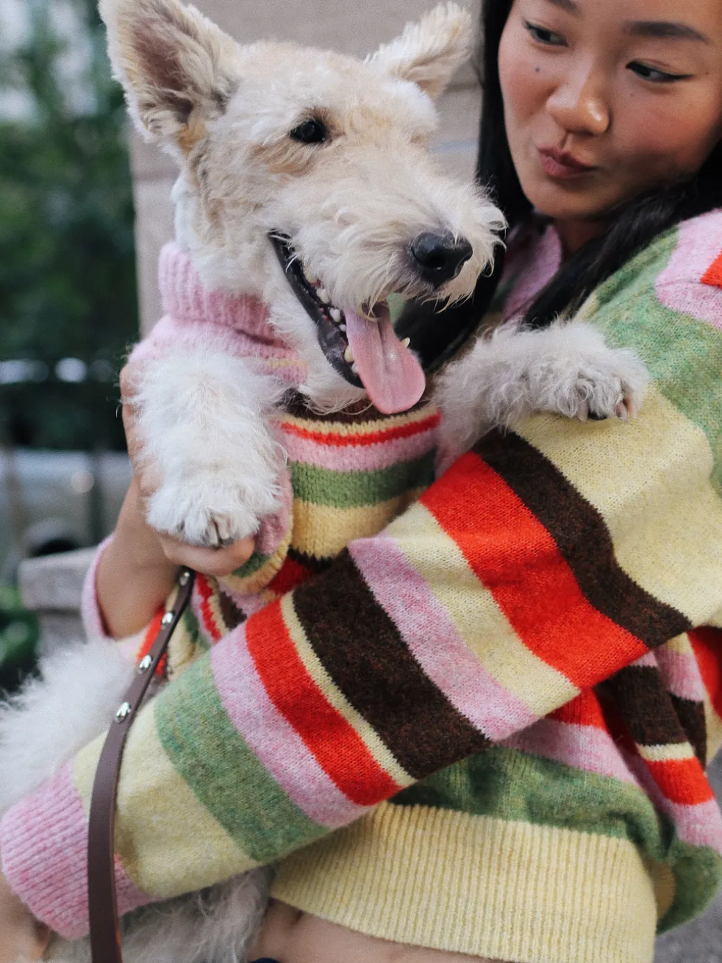 Dog Sweater - Pink Stripe