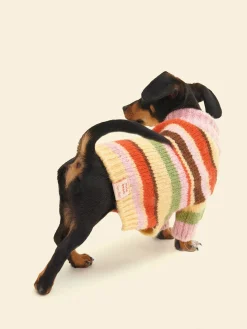 Dog Sweater - Pink Stripe