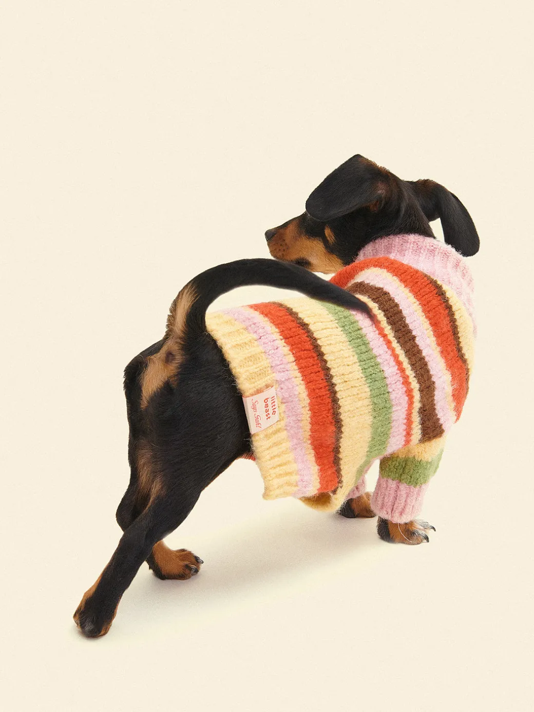 Dog Sweater - Pink Stripe