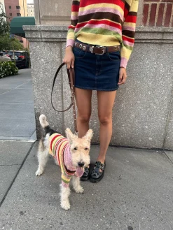 Dog Sweater - Pink Stripe