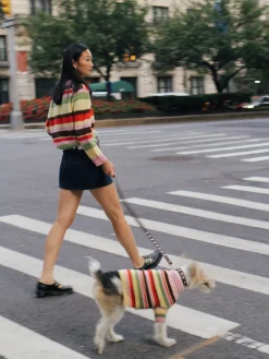 Dog Sweater - Pink Stripe