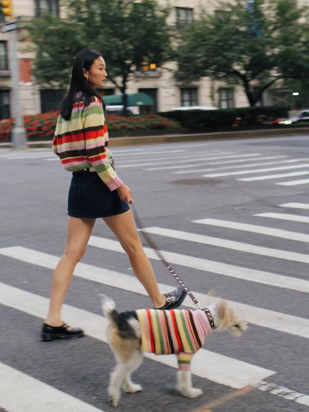 Dog Sweater - Pink Stripe